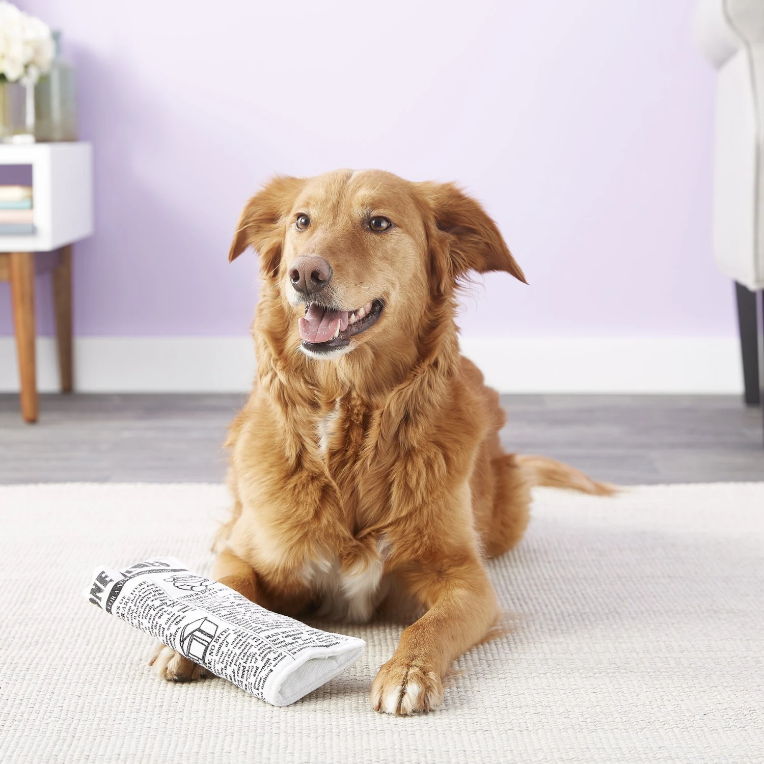 Pet Qwerks Krinkle & Squeak Newspaper Stuffing-Free Plush Dog Toy 5 Pet Qwerks Krinkle & Squeak Newspaper Stuffing-Free Plush Dog Toy - Image 3