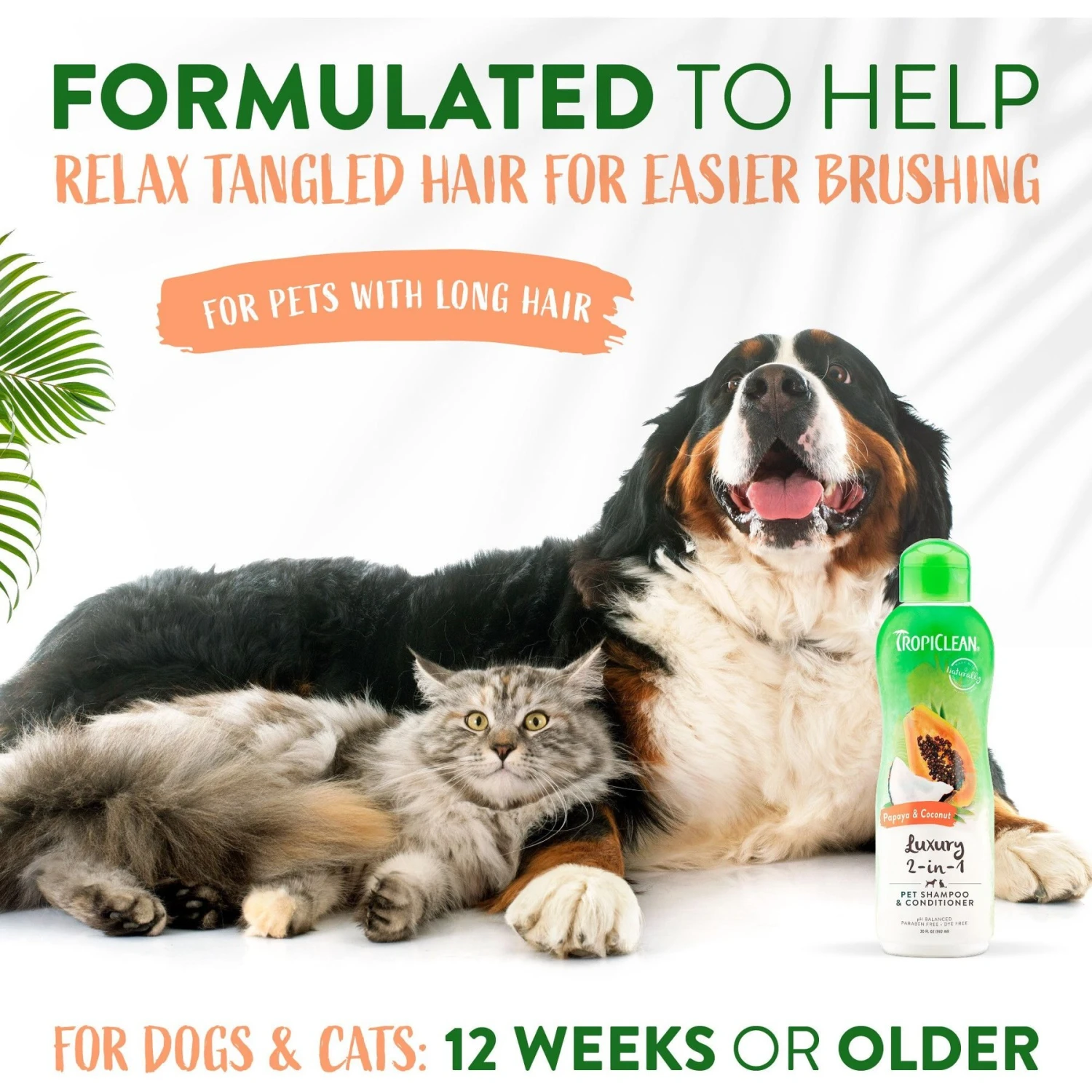 TropiClean Luxury 2 In 1 Papaya & Coconut Pet Shampoo & Conditioner & TropiClean Papaya Deodorizing Dog & Cat Spray 6 TropiClean Luxury 2 In 1 Papaya & Coconut Pet Shampoo & Conditioner & TropiClean Papaya Deodorizing Dog & Cat Spray - Image 4
