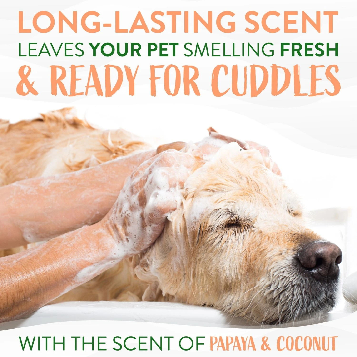 TropiClean Luxury 2 In 1 Papaya & Coconut Pet Shampoo & Conditioner & TropiClean Papaya Deodorizing Dog & Cat Spray 7 TropiClean Luxury 2 In 1 Papaya & Coconut Pet Shampoo & Conditioner & TropiClean Papaya Deodorizing Dog & Cat Spray - Image 5