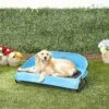 Gen7Pets Cool-Air Cot Elevated Dog Bed -Pet Dog Supply Store 105020 MAIN. AC SS1800 V1566323739