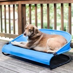 Gen7Pets Cool-Air Cot Elevated Dog Bed 14 Gen7Pets Cool-Air Cot Elevated Dog Bed -Pet Dog Supply Store 105020 PT3. AC SS1800 V1566323751
