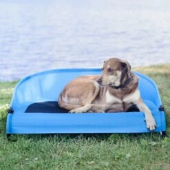 Gen7Pets Cool-Air Cot Elevated Dog Bed 15 Gen7Pets Cool-Air Cot Elevated Dog Bed -Pet Dog Supply Store 105020 PT4. AC SS1800 V1566323753
