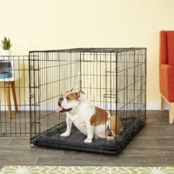 American Kennel Club AKC Dog Crate Mat 9 American Kennel Club AKC Dog Crate Mat -Pet Dog Supply Store 106527 PT2. AC SS1800 V1542233927