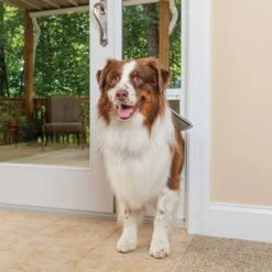 PetSafe 96-in Sliding Glass Pet Door