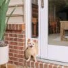 PetSafe Sliding Glass Pet Door, 2-Piece -Pet Dog Supply Store 106601 MAIN. AC SS1800 V1657655128