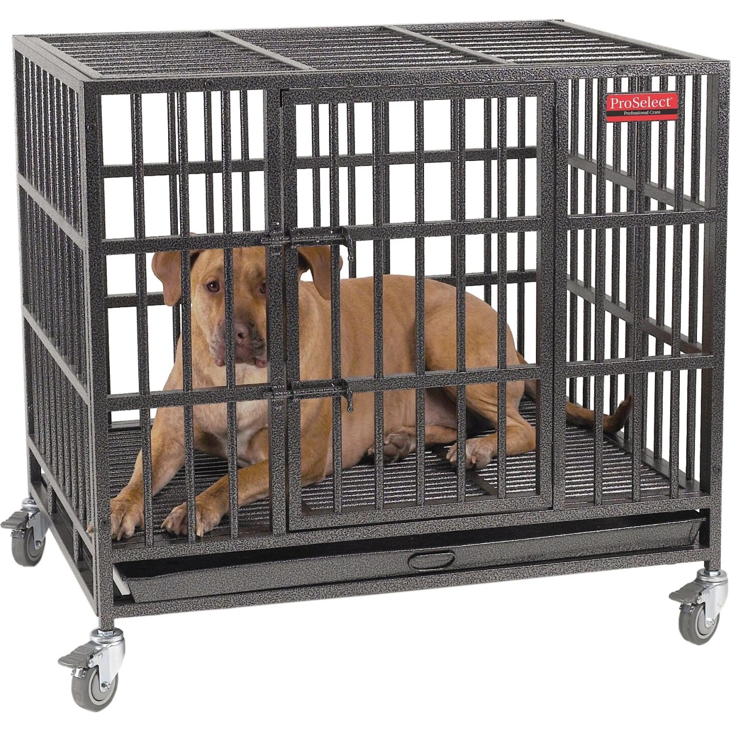 ProSelect Empire Single Door Steel Dog Crate 3 ProSelect Empire Single Door Steel Dog Crate