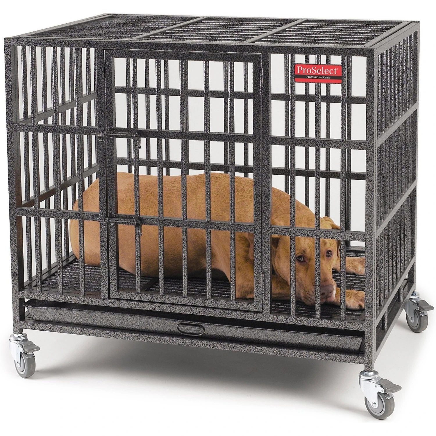 ProSelect Empire Single Door Steel Dog Crate 6 ProSelect Empire Single Door Steel Dog Crate - Image 4