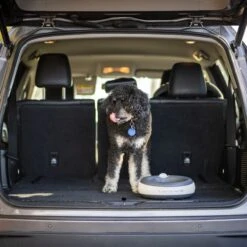 Torus Pet Filtered Dog & Cat Water Bowl 18 Torus Pet Filtered Dog & Cat Water Bowl -Pet Dog Supply Store 108653 PT7. AC SS1800 V1676903617