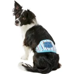 Alfie Pet Belly Band Washable Male Dog Wraps -Pet Dog Supply Store 110007 PT6. AC SS1800 V1518637607