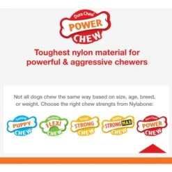 Nylabone Flavor Frenzy Power Chew Triple Pack Pancakes & Sausage -Pet Dog Supply Store 110389 PT2. AC SS1800 V1629851532