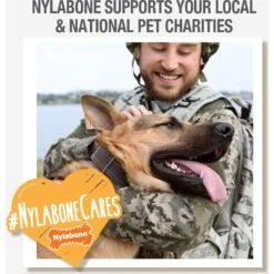 Nylabone Flavor Frenzy Power Chew Triple Pack Pancakes & Sausage -Pet Dog Supply Store 110389 PT5. AC SS1800 V1616677289