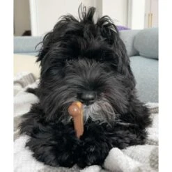 Nylabone Flavor Frenzy Power Chew Triple Pack Chili Cheese Dog -Pet Dog Supply Store 110396 PT2. AC SS1800 V1629855482