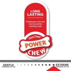 Nylabone Flavor Frenzy Power Chew Triple Pack Chili Cheese Dog -Pet Dog Supply Store 110396 PT7. AC SS1800 V1618434709