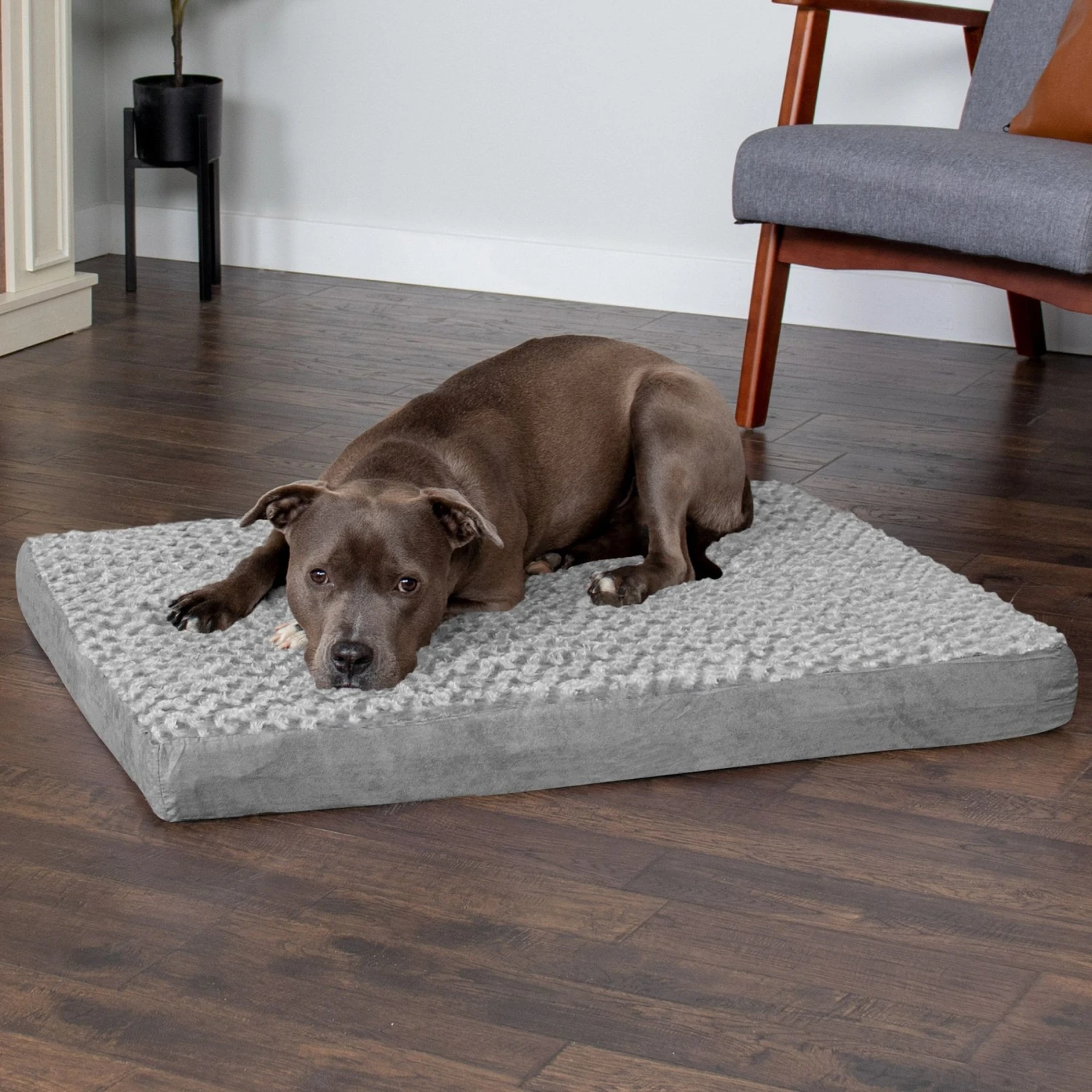 FurHaven NAP Deluxe Memory Foam Pillow Dog Bed With Removable Cover 3 FurHaven NAP Deluxe Memory Foam Pillow Dog Bed With Removable Cover