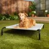 Frisco Steel-Framed Elevated Dog Bed -Pet Dog Supply Store 112076 MAIN. AC SS1800 V1674156718