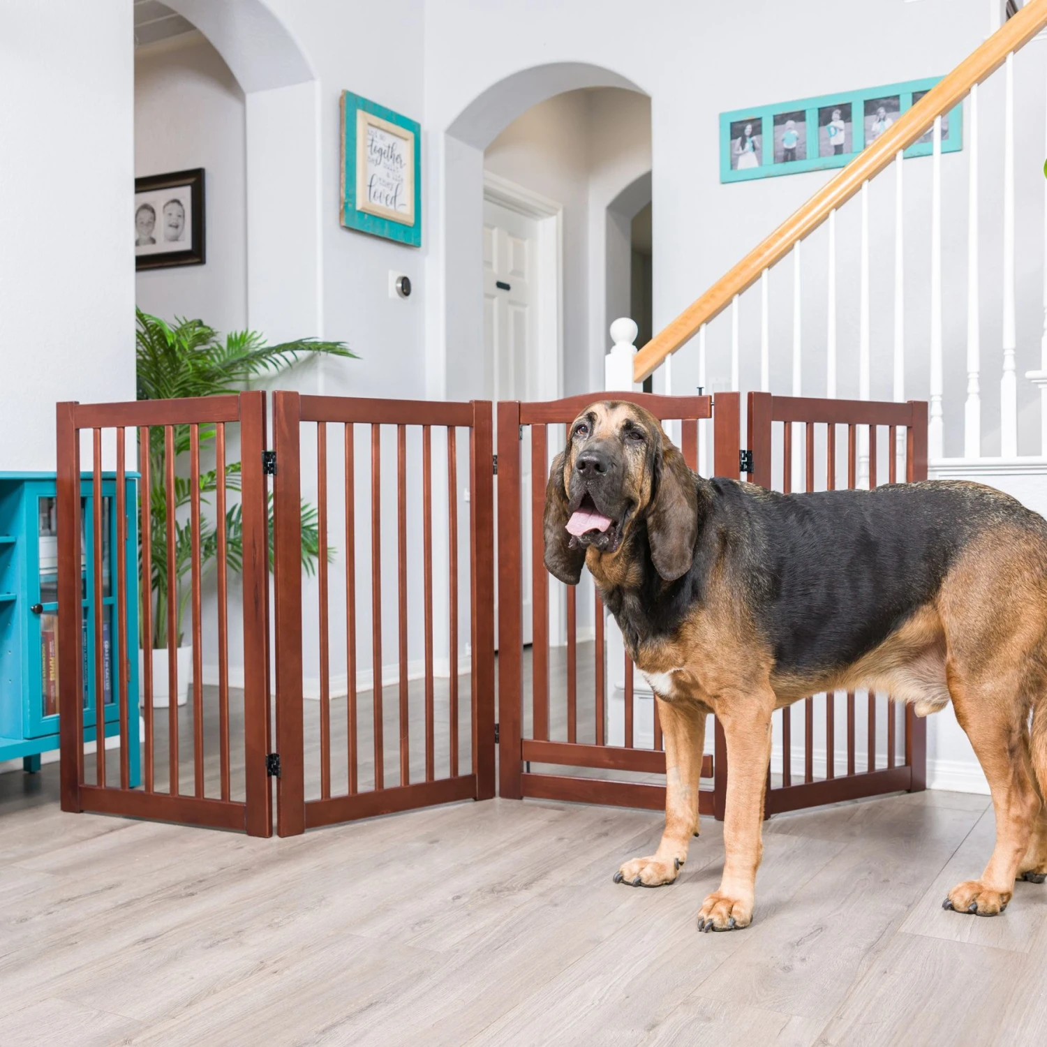 Primetime Petz 360 Configurable Gate With Door 3 Primetime Petz 360 Configurable Gate With Door