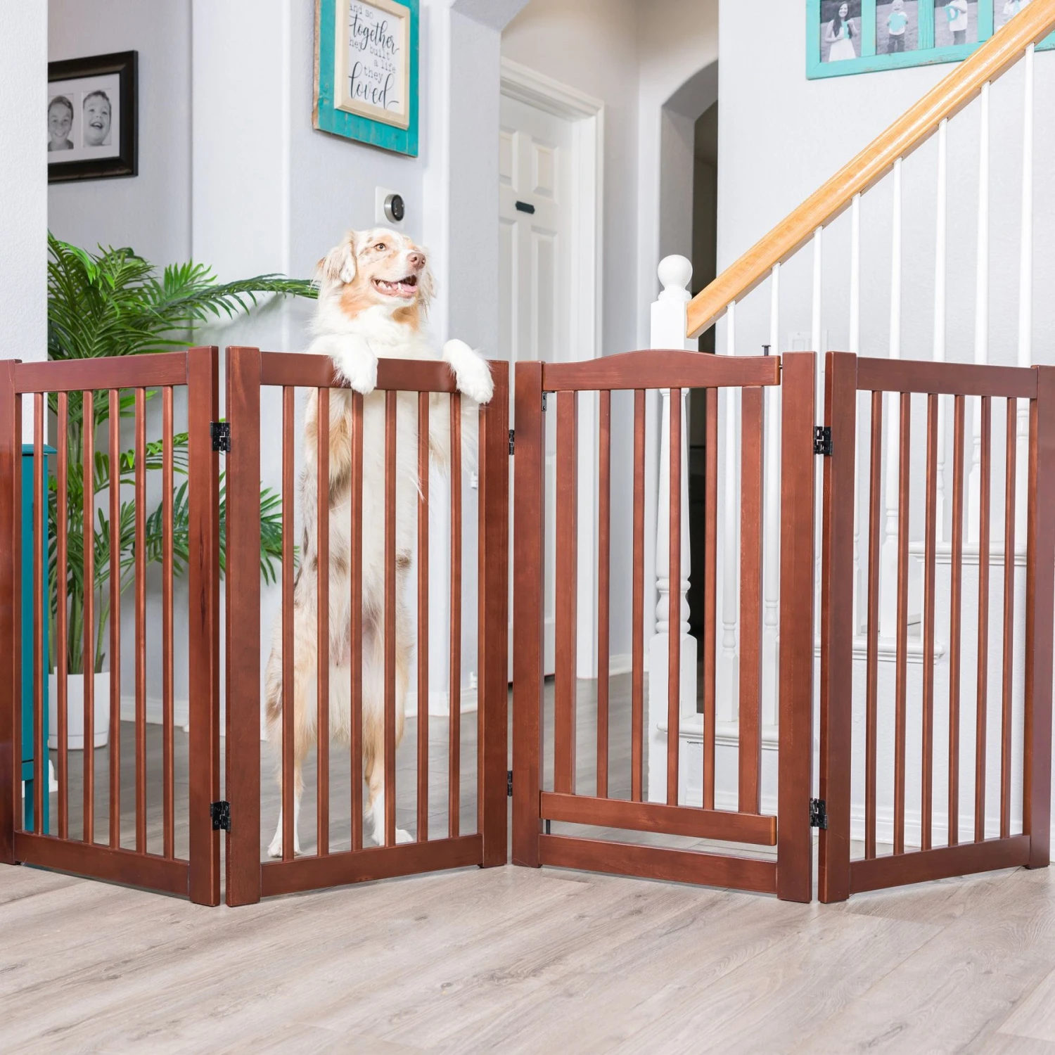 Primetime Petz 360 Configurable Gate With Door 6 Primetime Petz 360 Configurable Gate With Door - Image 4