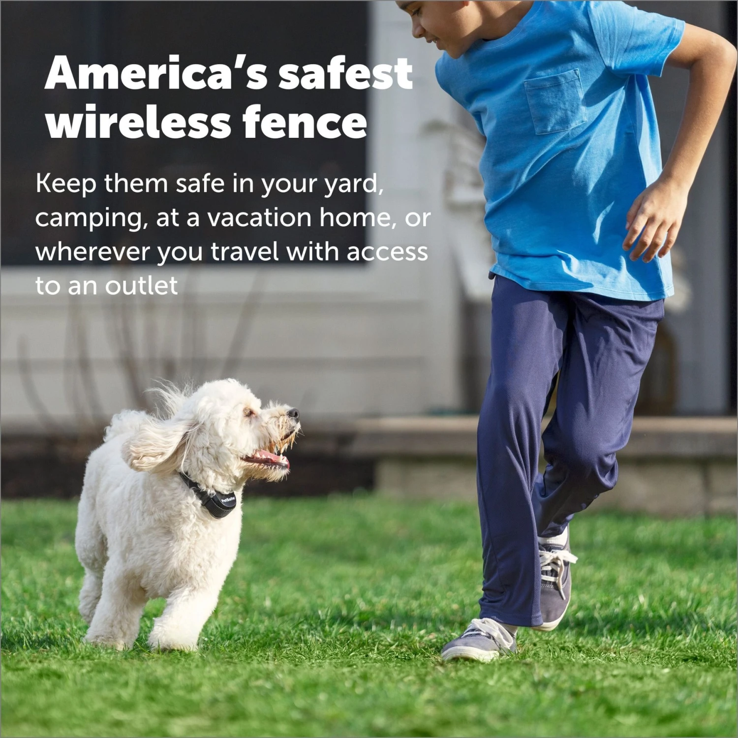 PetSafe Stay & Play Wireless Fence With Replaceable Battery Collar 7 PetSafe Stay & Play Wireless Fence With Replaceable Battery Collar - Image 5