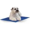 K&H Pet Products Coolin' Dog Mat 1 K&H Pet Products Coolin' Dog Mat -Pet Dog Supply Store 113683 MAIN. AC SS1800 V1624628582