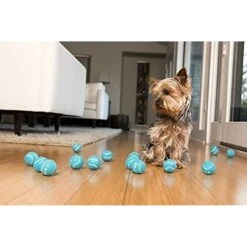 IFetch Mini Automatic Ball Launcher Dog Toy -Pet Dog Supply Store 115171 PT7. AC SS1800 V1490133467