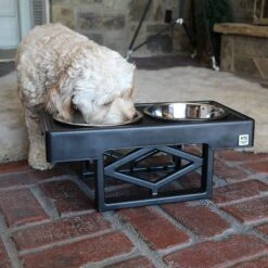 Pet Zone Designer Diner Adjustable Elevated Dog & Cat Bowls, 7-cup 13 Pet Zone Designer Diner Adjustable Elevated Dog & Cat Bowls, 7-cup -Pet Dog Supply Store 115664 PT4. AC SS1800 V1639012092