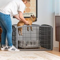 IRIS USA 4-Panel Dog Exercise Playpen, 24-in -Pet Dog Supply Store 116440 PT6. AC SS1800 V1689701191