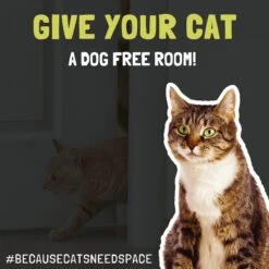 Door Buddy Door Latch -Pet Dog Supply Store 116615 PT8. AC SS1800 V1583272384