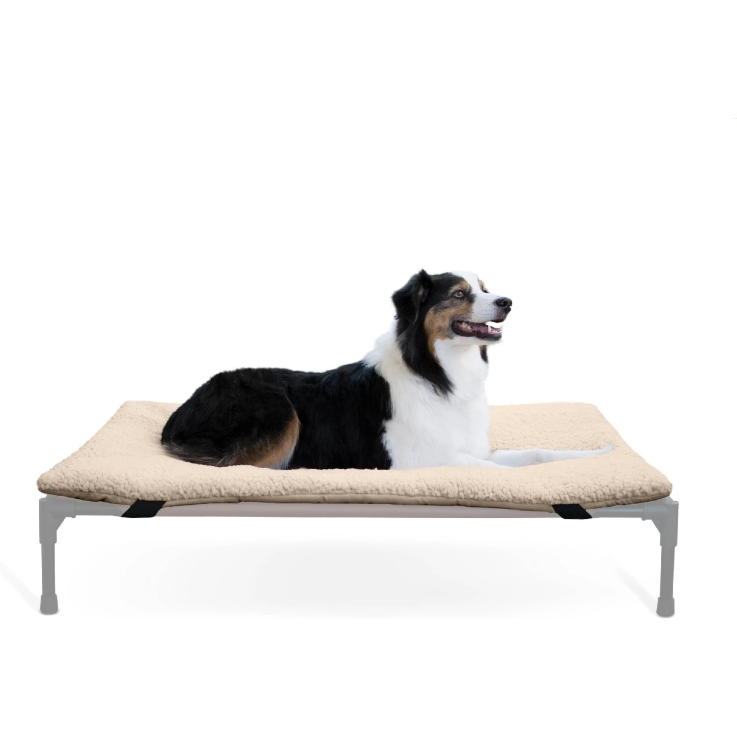K&H Pet Products Original Cot Pad For Elevated Dog Bed 3 K&H Pet Products Original Cot Pad For Elevated Dog Bed