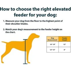 OurPets Comfort Elevated Dog & Cat Bowls -Pet Dog Supply Store 122825 PT5. AC SS1800 V1539789718