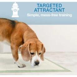 Four Paws Wee-Wee Superior Performance Eco Dog Pee Pads -Pet Dog Supply Store 124513 PT5. AC SS1800 V1685647137