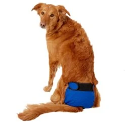 Wee-Wee Disposable Dog Diaper Super Absorbent Liner Pads -Pet Dog Supply Store 124520 PT8. AC SS1800 V1523312981