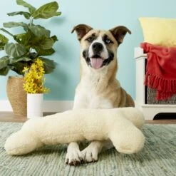 Petlou Fleece Bone Plush Dog Toy -Pet Dog Supply Store 124969 PT2. AC SS1800 V1530921828