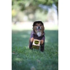 California Costumes UPS Delivery Driver Dog & Cat Costume -Pet Dog Supply Store 126528 PT3. AC SS1800 V1567183649