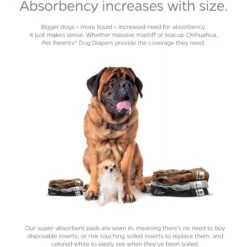 Pet Parents Washable Male & Female Dog Diapers + Extendrs -Pet Dog Supply Store 126897 PT4. AC SS1800 V1698414633