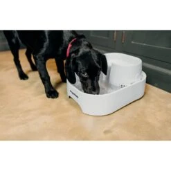 Dog Mate Large Fresh Water Plastic Dog & Cat Fountain, 192-oz 13 Dog Mate Large Fresh Water Plastic Dog & Cat Fountain, 192-oz -Pet Dog Supply Store 127457 PT3. AC SS1800 V1663712299