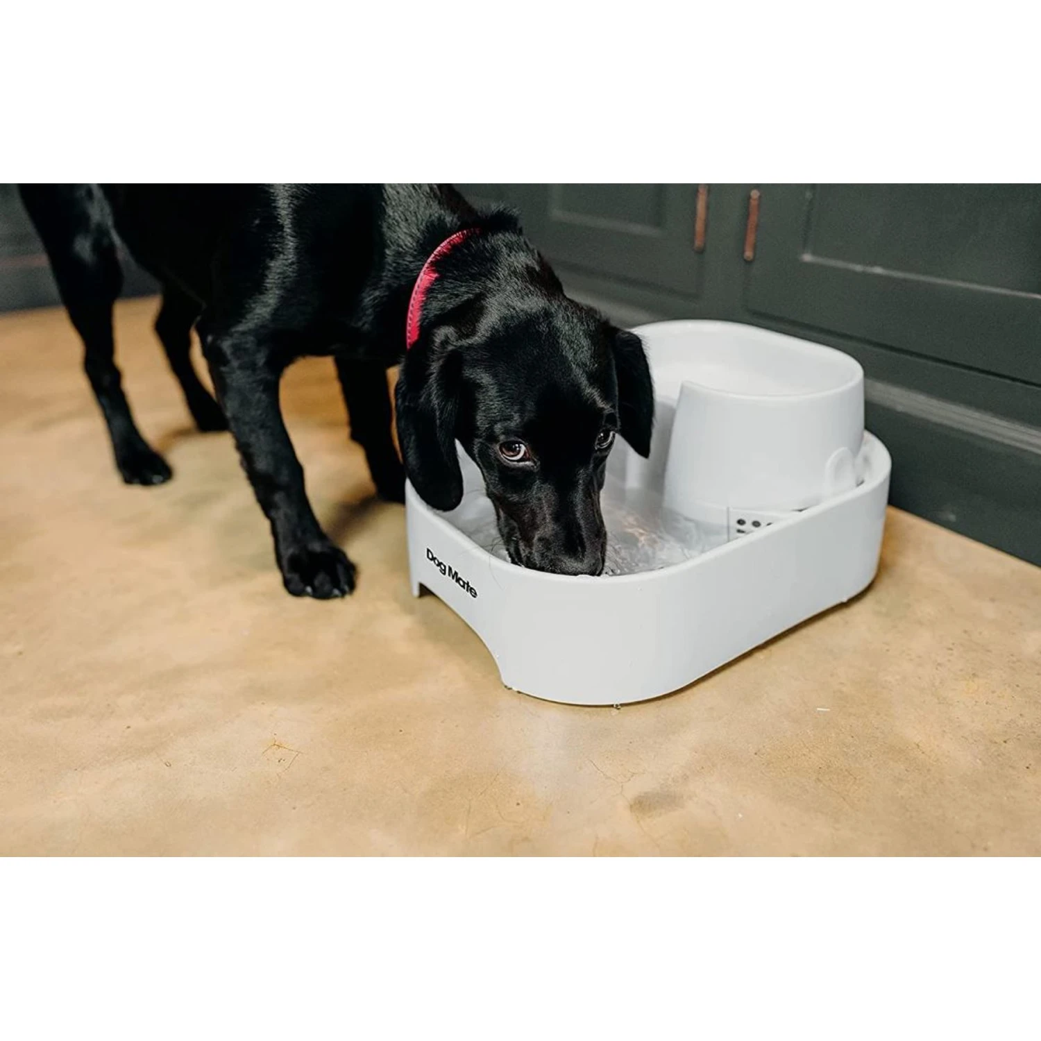 Dog Mate Large Fresh Water Plastic Dog & Cat Fountain, 192-oz 6 Dog Mate Large Fresh Water Plastic Dog & Cat Fountain, 192-oz - Image 4