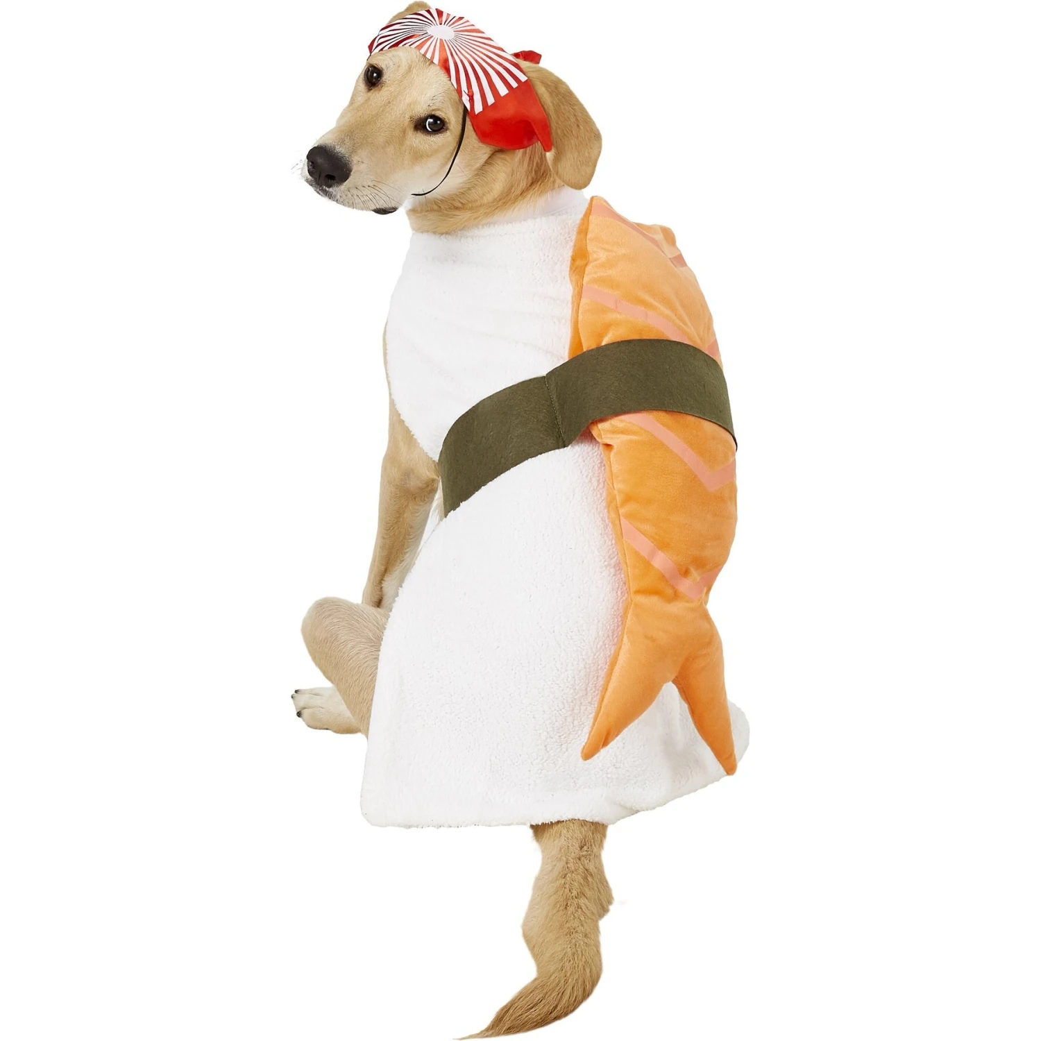 Rubie's Costume Company Sushi Dog & Cat Costume 3 Rubie's Costume Company Sushi Dog & Cat Costume