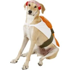 Rubie's Costume Company Sushi Dog & Cat Costume 11 Rubie's Costume Company Sushi Dog & Cat Costume -Pet Dog Supply Store 130568 PT4. AC SS1800 V1539296335