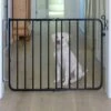 Cardinal Gates Auto-Lock Pet Gate 1 Cardinal Gates Auto-Lock Pet Gate -Pet Dog Supply Store 134769 MAIN. AC SS1800 V1569023894