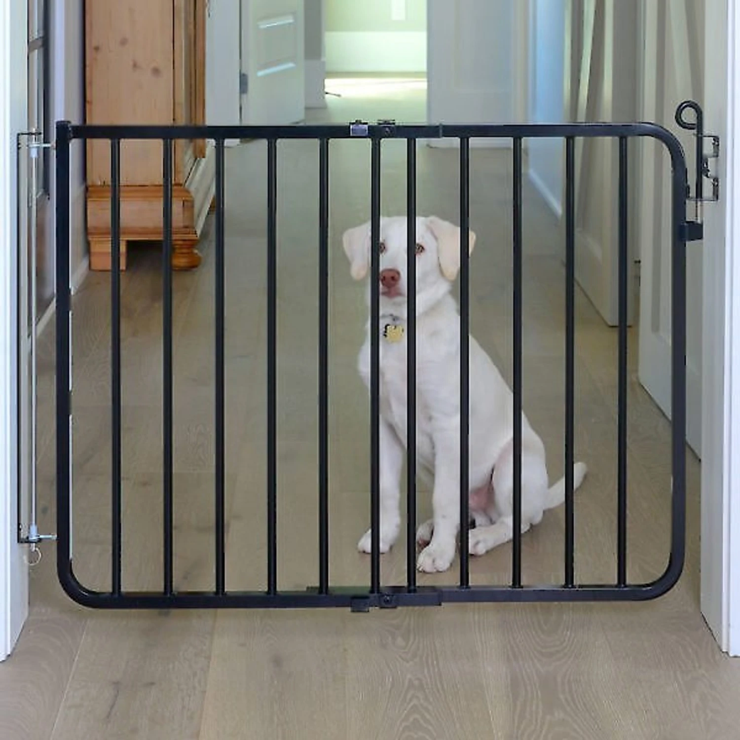 Cardinal Gates Auto-Lock Pet Gate 3 Cardinal Gates Auto-Lock Pet Gate