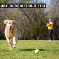 Hyper Pet K9 Kannon K2 Tennis Ball Launcher Interactive Dog Toy -Pet Dog Supply Store 140112 Pt4. AC SS1800 V1583763532