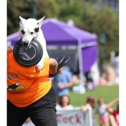 Hyperflite Jawz Disc -Pet Dog Supply Store 140803 PT5. AC SS1800 V1523643088