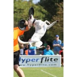 Hyperflite Jawz Disc -Pet Dog Supply Store 140803 PT6. AC SS1800 V1523642994