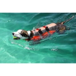 Frisco Ripstop Dog Life Jacket -Pet Dog Supply Store 140919 PT8. AC SS1800 V1540476454
