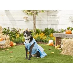 Rubie's Costume Company Cinderella Disney Princess Dog & Cat Costume -Pet Dog Supply Store 144122 PT2. AC SS1800 V1569006192