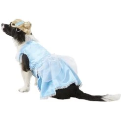 Rubie's Costume Company Cinderella Disney Princess Dog & Cat Costume -Pet Dog Supply Store 144122 PT4. AC SS1800 V1569005881