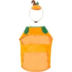 Frisco Pumpkin Dog & Cat Costume -Pet Dog Supply Store 144446 PT4. AC SS1800 V1567176587