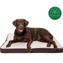 FurHaven Faux Sheepskin & Suede Deluxe Orthopedic Cat & Dog Bed With Removable Cover -Pet Dog Supply Store 145039 PT3. AC SS1800 V1606357617