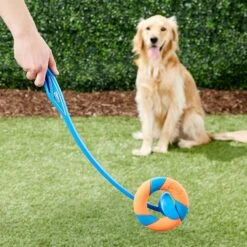 Chuckit! Ultra Ring Launcher Fetch Dog Toy -Pet Dog Supply Store 145393 PT2. AC SS1800 V1550270847