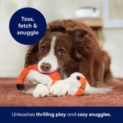 Frisco Fox Skinny Plush Squeaky Dog Toy -Pet Dog Supply Store 147049 PT5. AC SS1800 V1691776638